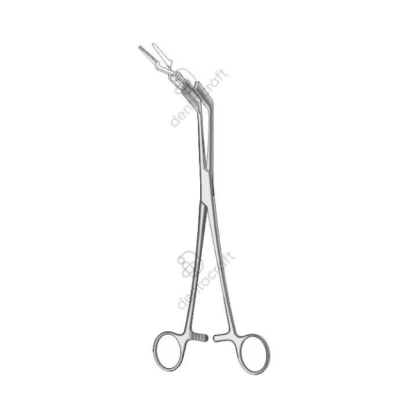 Johns-Hopkins 24.5cm