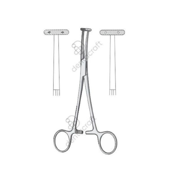 Willet-Martel 19cm